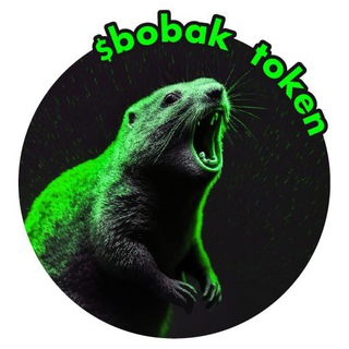 Logo of telegram channel bobak_meme — $BOBAK on Solana