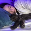 Логотип телеграм канала @boberchikluv — bober🎀