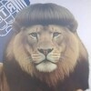 Логотип телеграм канала @boberinsta — боберность