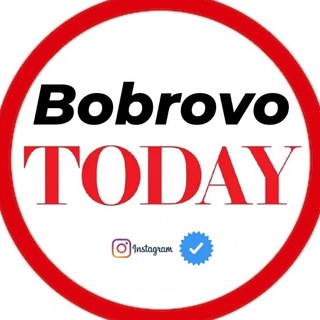Логотип телеграм канала @bobrovotoday — bobrovo_today
