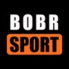 Логотип телеграм канала @bobrsport — BOBR | Sport 🏒⚽️