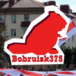 Логотип телеграм канала @bobruisk375 — Бобруйск 375