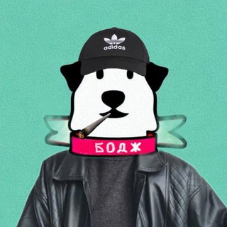 Логотип телеграм канала @bodgfriend — БОДЖ Быдло о домашних животных