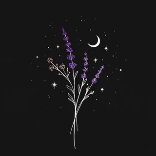 Логотип телеграм канала @bodom18 — Bodom.♾