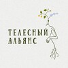 Логотип телеграм канала @bodyalliance — СИЛА 3 ПСИХОЛОГОВ