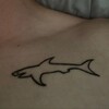 Логотип телеграм канала @bodyan24580 — Бахдан 🦈