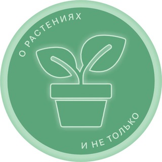 Telegram channel BogdaSHka 🍀о растениях и не только🍀 logo