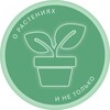 Логотип телеграм канала @bogdashka_plants — BogdaSHka 🍀о растениях и не только🍀