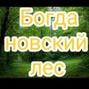 Логотип телеграм канала @bogdles — Богдановский лес