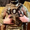 Логотип телеграм канала @bogiprotivhohlov — С ништяками по Донбассу