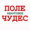 Логотип телеграм канала @bogkrasitgubi — ПОЛЕ [квантовое] ЧУДЕС
