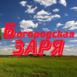 Логотип телеграм канала @bogorodskoezaria — Богородская Заря