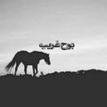 Logo saluran telegram bohgharib — بوح غريب