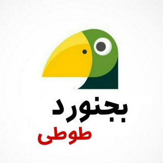 لوگوی کانال تلگرام bojnord_parrot — پرورشگاه طوطی بجنورد