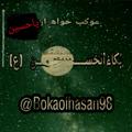 Logo saluran telegram bokaolhasan98 — 🏴کانال اطلاع رسانی موکب خواهران _کربلا (اخباروآدرس موکب های اربعین )