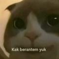 Logo saluran telegram bokeepanakkecip — Video Bokep Anak Kecil