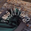 Логотип телеграм канала @boksttttttt — Рыдакторы