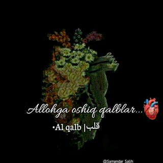 Telegram kanalining logotibi bolajonlar_kanali_uz — •Al qalb |🫀قلب