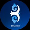 Telegram арнасының логотипі bolashakcipnews — BOLASHAK NEWS