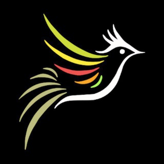 لوگوی کانال تلگرام bolboljan_app — بلبل جان | معرفی فیلم و سریال
