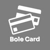 Telegram channel Bole Card logo