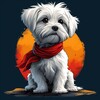 Логотип телеграм канала @bolonkapro — Болонка Продаж