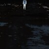 Логотип телеграм канала @bolotnaya_muza — болотная муза