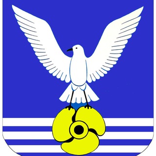 Логотип телеграм канала @bolshoykamenduma — Дума городского округа Большой Камень