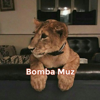 Логотип телеграм канала @bomba_muzzzz — ʙᴏᴍʙᴀ ᴍᴜᴢ 🎵