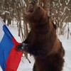 Telegram channel Bombaemba🇷🇺 logo
