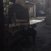 Логотип телеграм канала @bomjgangfamily — бомжик нелегальный