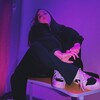Логотип телеграм канала @bomzhatskaya — бомжатская