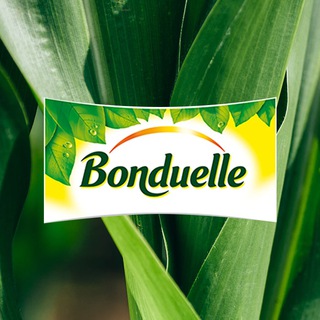 Логотип телеграм канала @bonduellerus — Bonduelle