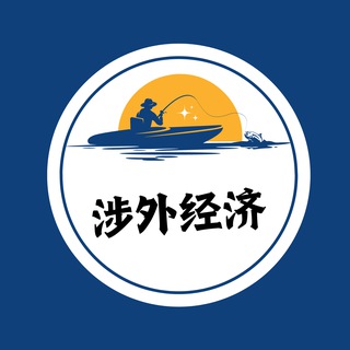 电报频道的标志 boniuphzp — 数据渗透-飞讯出海战略市场定位与实施