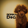 Логотип телеграм канала @bonkadog — bonka.dog