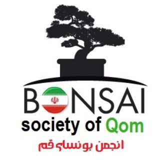 لوگوی کانال تلگرام bonsai_qom — کانال انجمن بونسای قم