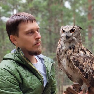 Логотип телеграм канала @bonumsomno — Толкование снов с Александром Красновым