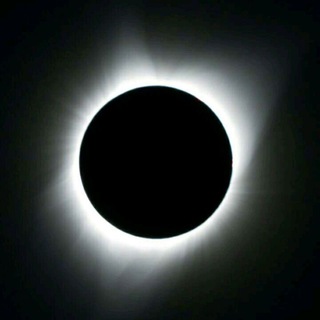 Логотип телеграм канала @bonusi_casino — Bonus casino