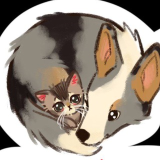 Логотип телеграм канала @boobitos — Бубитосы🐶🐱