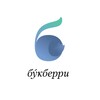 Telegram channel Bookberry logo