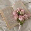 Логотип телеграм канала @bookcludd — book club