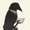 Логотип телеграм канала @bookishbird — Птица-чтица 🐦