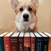 Логотип телеграм канала @bookorgi — 𝔹𝕆𝕆𝕂𝕆ℝ𝔾𝕀