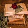 Логотип телеграм канала @books_byelen — Books by LR