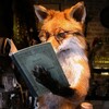 Логотип телеграм канала @books_foxi — Books_Foxi | У нас интересно