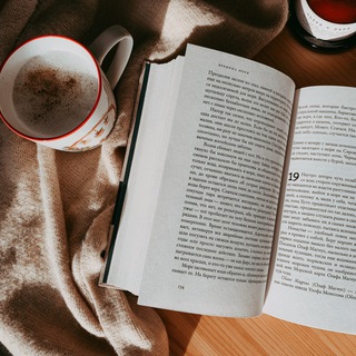 Логотип телеграм канала @bookshelf_kk — Книжная полка Шмыковой
