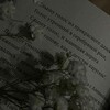Логотип телеграм канала @bookway23 — ☁️♡𝚁𝚊𝚢𝚜𝚔𝚘𝚎 𝚖𝚎𝚜𝚝𝚎𝚌𝚑𝚔𝚘♡☁️