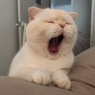 Логотип телеграм канала @boomfm — Boomburum.fm