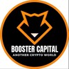 Logo of telegram channel boostercapitalann — 🛠️Booster Capital_ANN🛠️