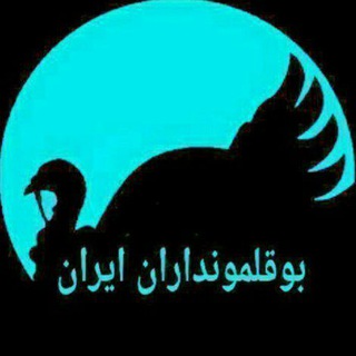 لوگوی کانال تلگرام boqalamondaran — بوقلمونداران ایران